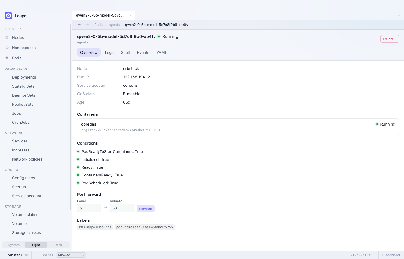 Node detail showing allocated CPU and memory against allocatable