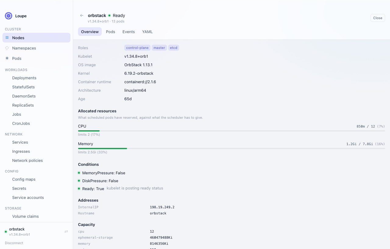 Node detail showing allocated CPU and memory against allocatable